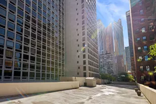 1100 N Lake Shore Dr, Chicago, IL 60611 - Photo 25