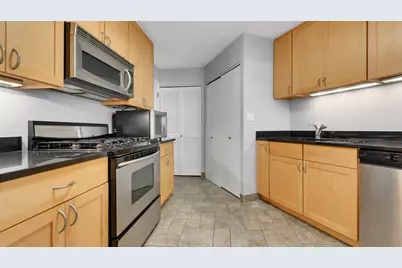 2100 N Racine Avenue #2J, Chicago, IL 60614 - Photo 9