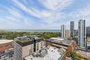 1560 N Sandburg Terrace, Chicago, IL 60610 - Photo 5