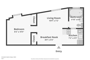 20 E Goethe St, Chicago, IL 60610 - Photo 15