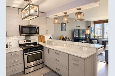 400 E Randolph Street #2114, Chicago, IL 60601 - Photo 3