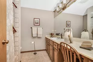 7834 W Forest Hill Ct, Palos Heights, IL 60463 - Photo 21
