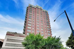 5 E 14th Pl, Chicago, IL 60605 - Photo 37