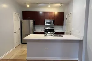 757 W 14th Pl, Chicago, IL 60607 - Photo 3