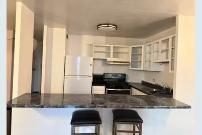 2901 S Michigan Avenue #1809, Chicago, IL 60616 - Photo 9