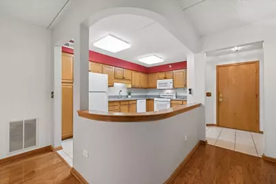 10 S Wille Street #301, Mount Prospect, IL 60056 - Photo 9