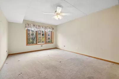 10 S Wille Street #301, Mount Prospect, IL 60056 - Photo 5