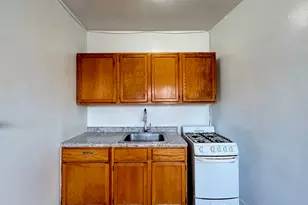 2432 N Linden Pl, Chicago, IL 60647 - Photo 3