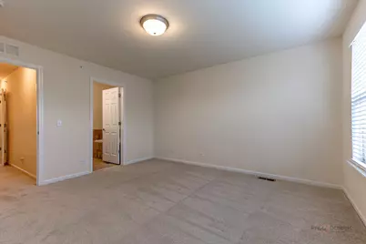 405 Alpine Springs Drive, Vernon Hills, IL 60061 - Photo 27