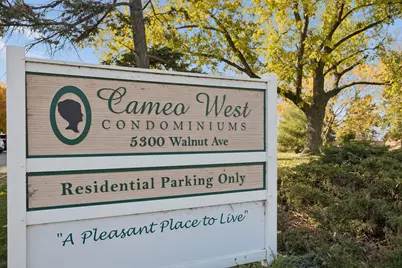 5300 Walnut Avenue #10A, Downers Grove, IL 60515 - Photo 3