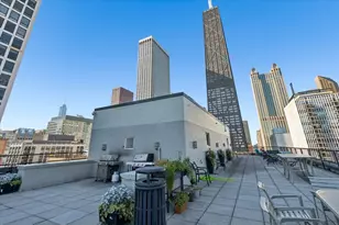 253 E Delaware Pl, Chicago, IL 60611 - Photo 19