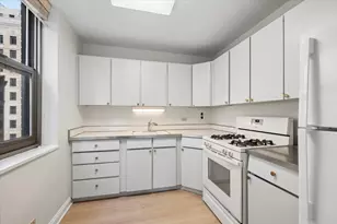 253 E Delaware Pl, Chicago, IL 60611 - Photo 15