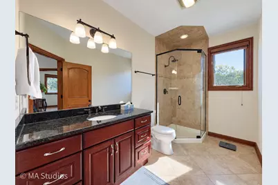 9030 Elm Avenue, Burr Ridge, IL 60527 - Photo 17