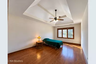 9030 Elm Avenue, Burr Ridge, IL 60527 - Photo 27