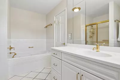 1121 W Skylark Drive, Palatine, IL 60067 - Photo 31