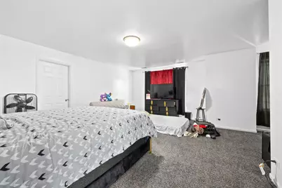 8035 S Kolin Avenue, Chicago, IL 60652 - Photo 19