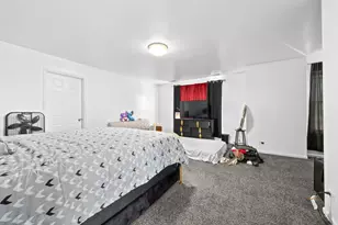 8035 S Kolin Ave, Chicago, IL 60652 - Photo 19