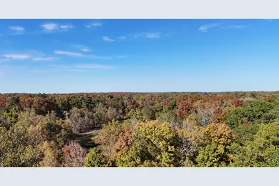 5234 E Burbank Road, Chicago, IL 62898 - Photo 9