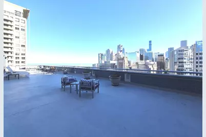 222 E Pearson Street #1107, Chicago, IL 60611 - Photo 15