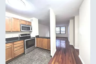 222 E Pearson Street #1107, Chicago, IL 60611 - Photo 3
