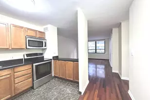 222 E Pearson St, Chicago, IL 60611 - Photo 3
