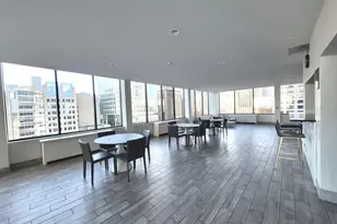 222 E Pearson St, Chicago, IL 60611 - Photo 13