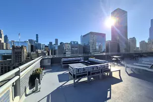 222 E Pearson St, Chicago, IL 60611 - Photo 19