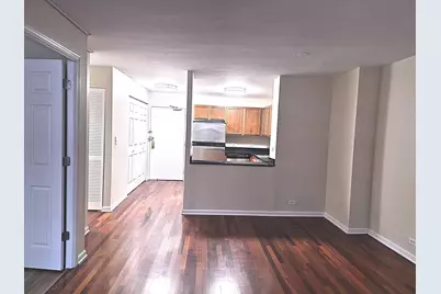 222 E Pearson Street #1107, Chicago, IL 60611 - Photo 7