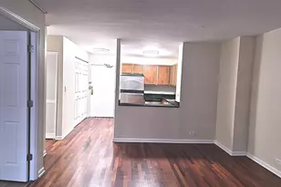 222 E Pearson St, Chicago, IL 60611 - Photo 7