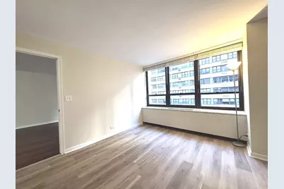 222 E Pearson Street #1107, Chicago, IL 60611 - Photo 11