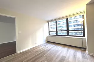 222 E Pearson St, Chicago, IL 60611 - Photo 11