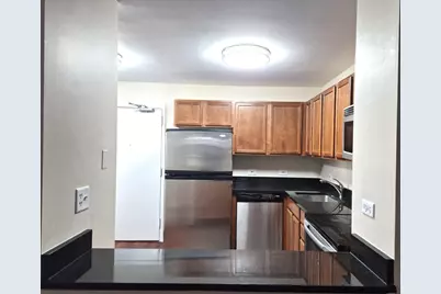 222 E Pearson Street #1107, Chicago, IL 60611 - Photo 5