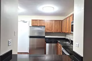 222 E Pearson St, Chicago, IL 60611 - Photo 5