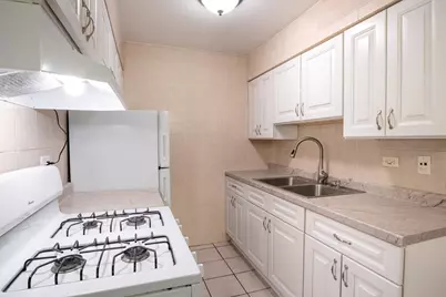 876 Blossom Lane #203, Prospect Heights, IL 60070 - Photo 11