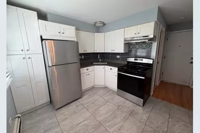 119 Cliff Street #1W, Willow Springs, IL 60480 - Photo 3
