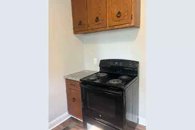 915 N Vine Street, Joliet, IL 60435 - Photo 11