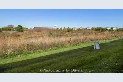 15106 W Quincy Circle, Manhattan, IL 60442 - Photo 23