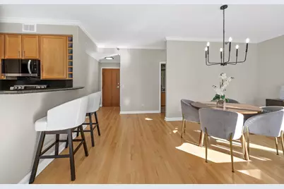 435 W Erie Street #701, Chicago, IL 60654 - Photo 17
