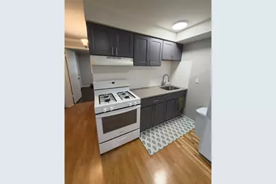 119 Cliff Street #2w, Willow Springs, IL 60480 - Photo 3