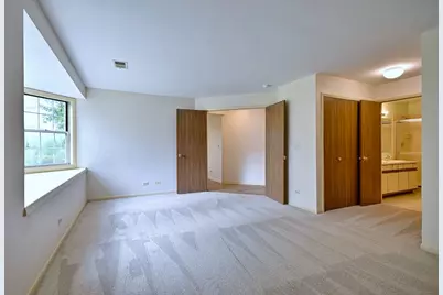 884 Pas Court #101, Naperville, IL 60563 - Photo 11