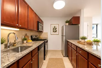 222 E Pearson Street #1704, Chicago, IL 60611 - Photo 3