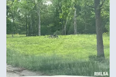 3551 (Lot 10) Ridge Crest Drive, Mt Vernon, IL 62864 - Photo 11