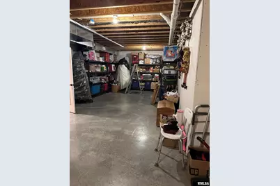 432 Indian Trail Drive, Pinckneyville, IL 62274 - Photo 29