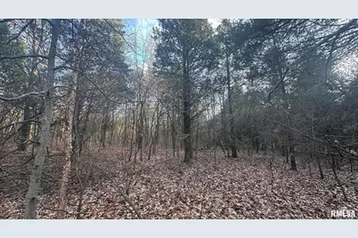 000 Route 166, Creal Springs, IL 62922 - Photo 51