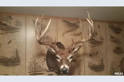 000 Route 166, Creal Springs, IL 62922 - Photo 5