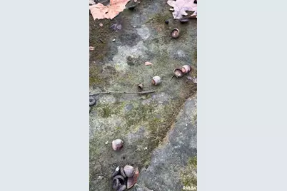 000 Route 166, Creal Springs, IL 62922 - Photo 29