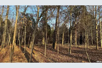 000 Route 166, Creal Springs, IL 62922 - Photo 49