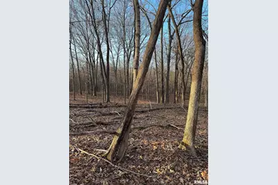 000 Route 166, Creal Springs, IL 62922 - Photo 39