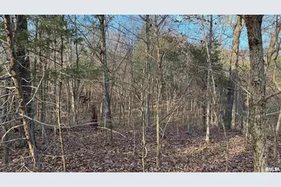 000 Route 166, Creal Springs, IL 62922 - Photo 23