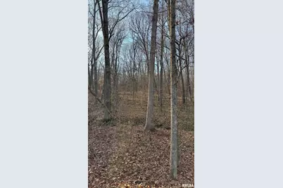 000 Route 166, Creal Springs, IL 62922 - Photo 33